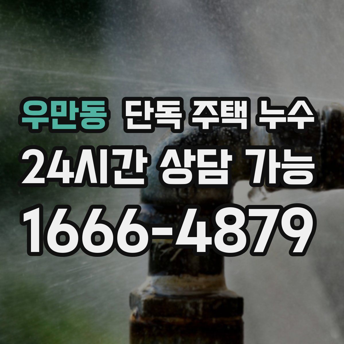 우만동 단독 주택 누수