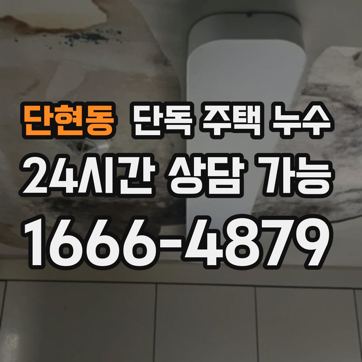 단현동 단독 주택 누수