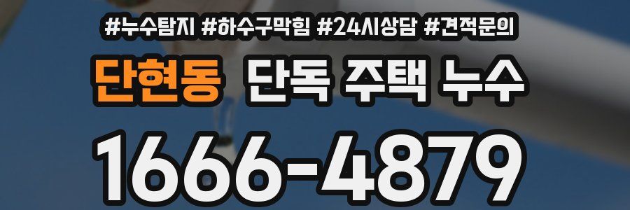 단현동 단독 주택 누수