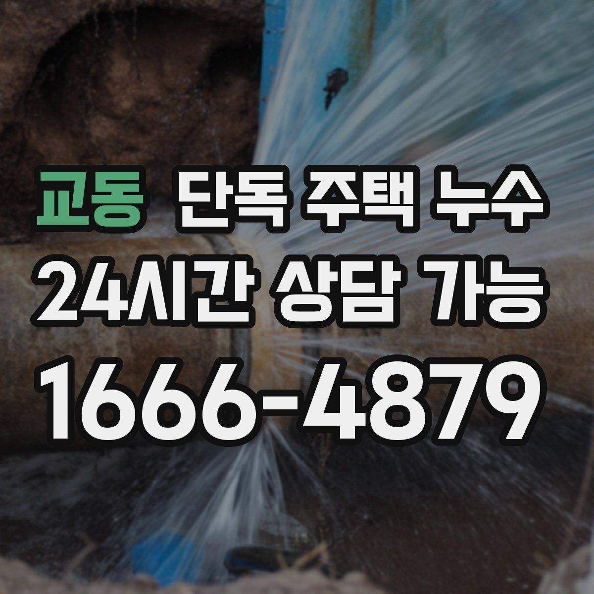 교동 단독 주택 누수 외벽 쪽 방이 더 축축한 이유