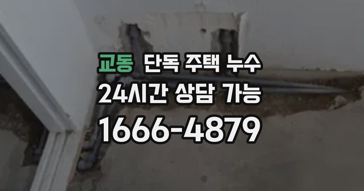 교동 단독 주택 누수