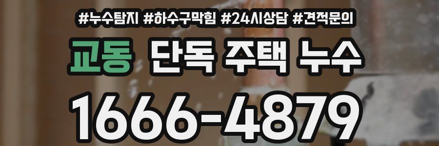 교동 단독 주택 누수