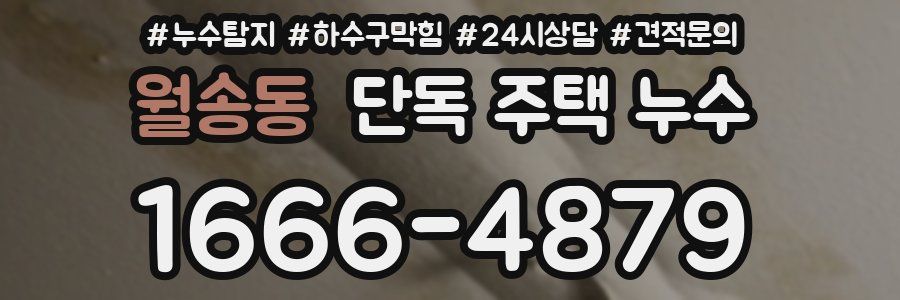 월송동 단독 주택 누수