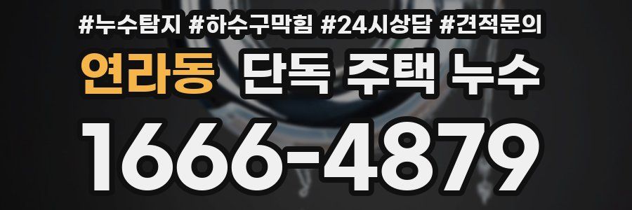 연라동 단독 주택 누수