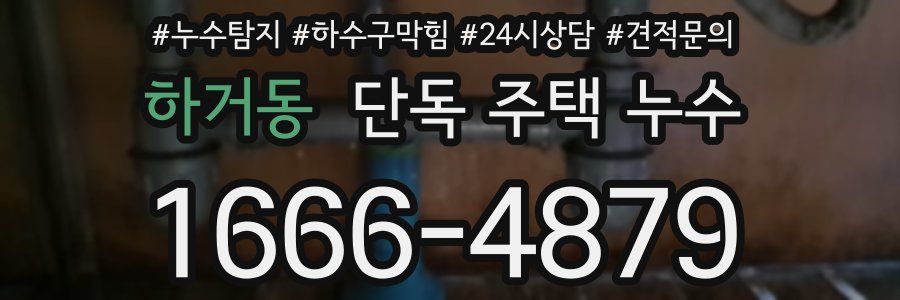 하거동 단독 주택 누수