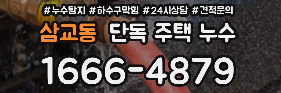 삼교동 단독 주택 누수