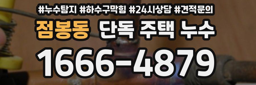 점봉동 단독 주택 누수