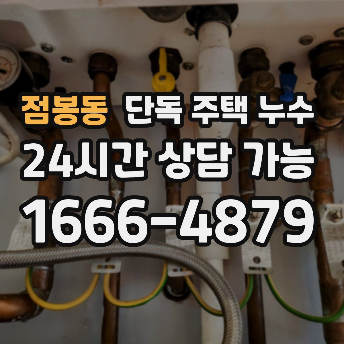 점봉동 단독 주택 누수