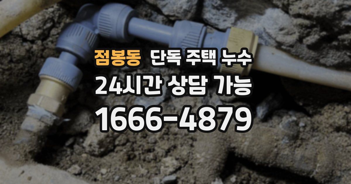 점봉동 단독 주택 누수