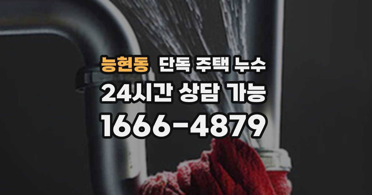 능현동 단독 주택 누수