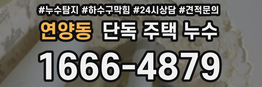 연양동 단독 주택 누수