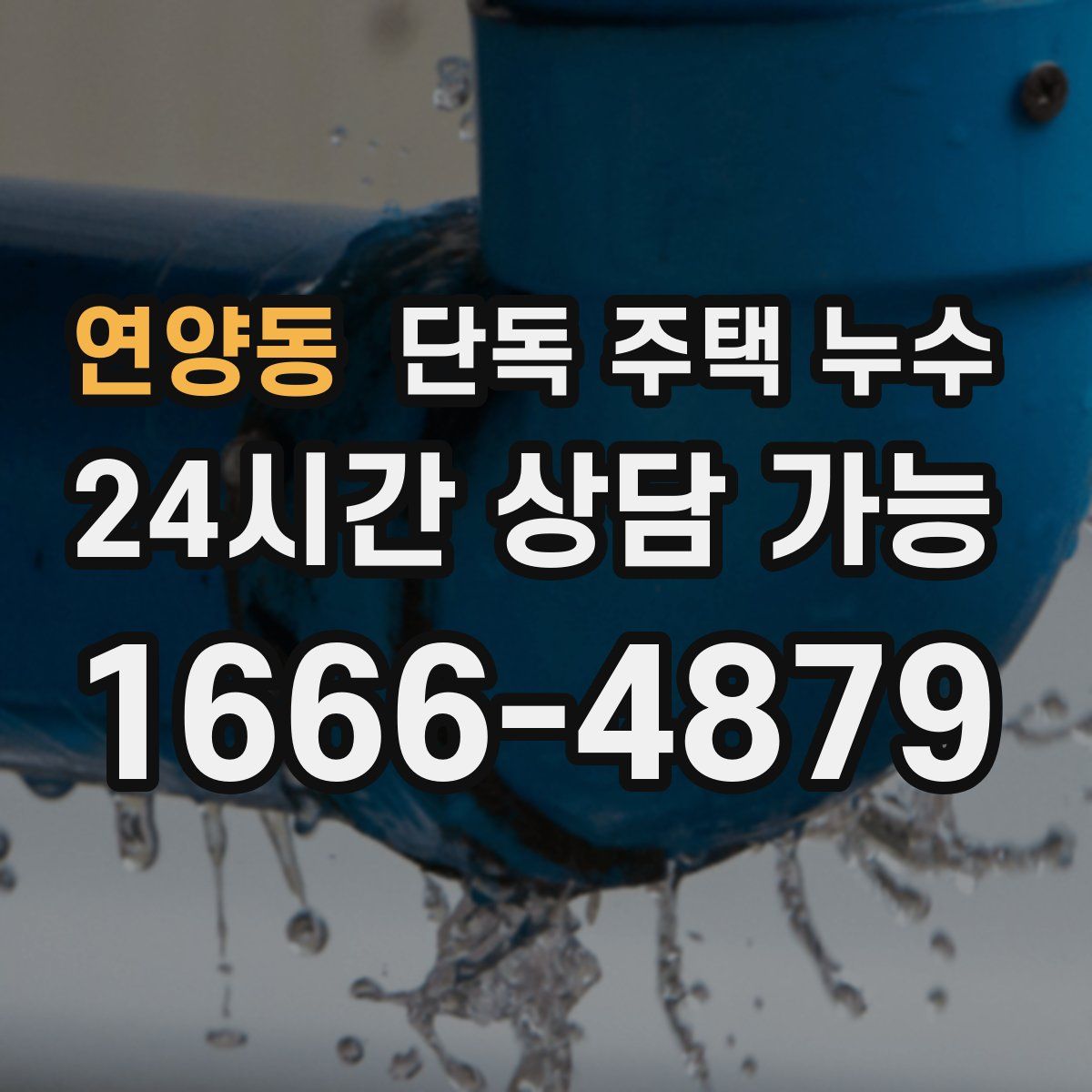 연양동 단독 주택 누수