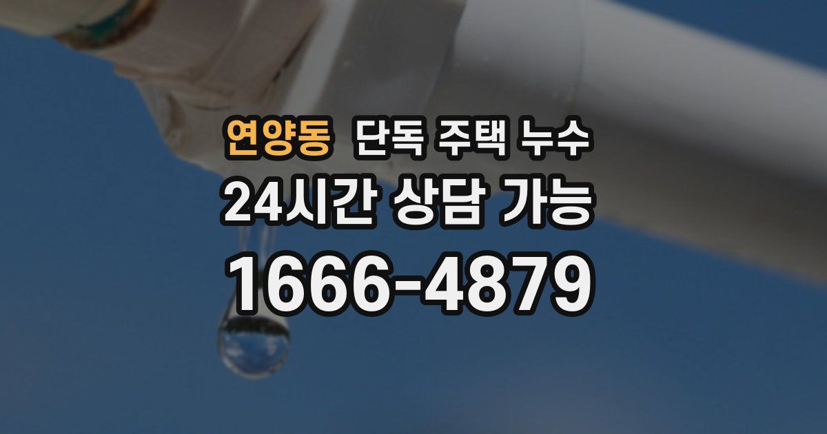 연양동 단독 주택 누수