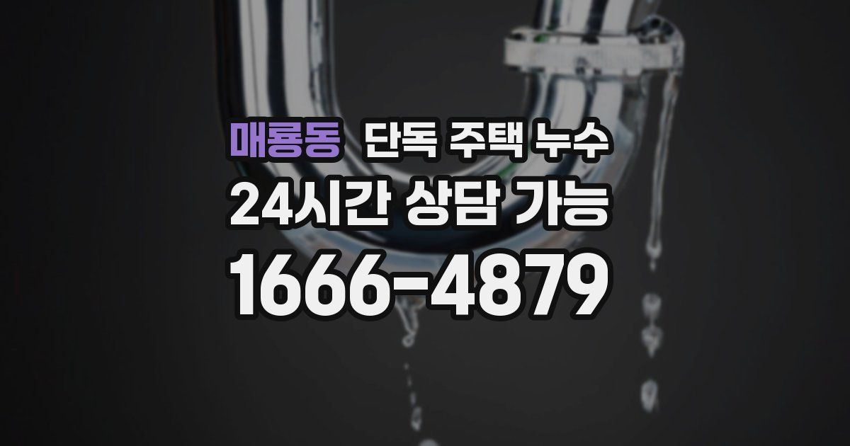 매룡동 단독 주택 누수
