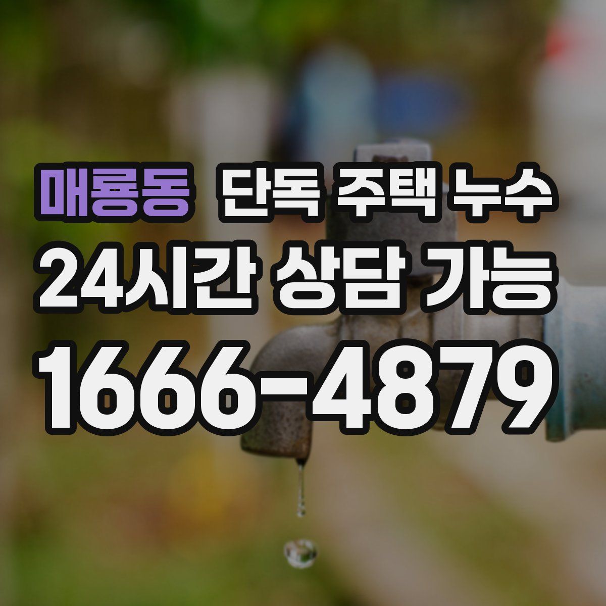 매룡동 단독 주택 누수