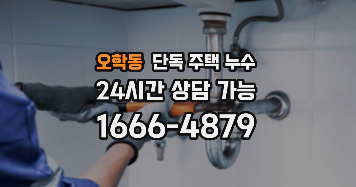 오학동 단독 주택 누수