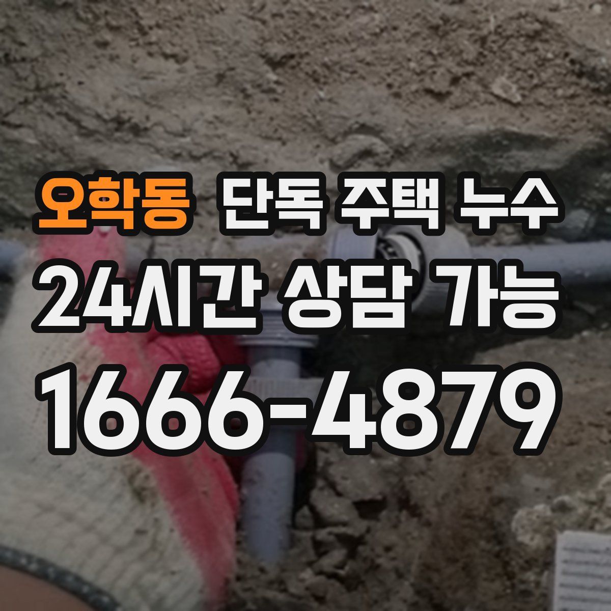 오학동 단독 주택 누수