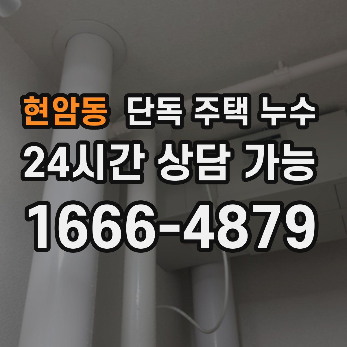 현암동 단독 주택 누수
