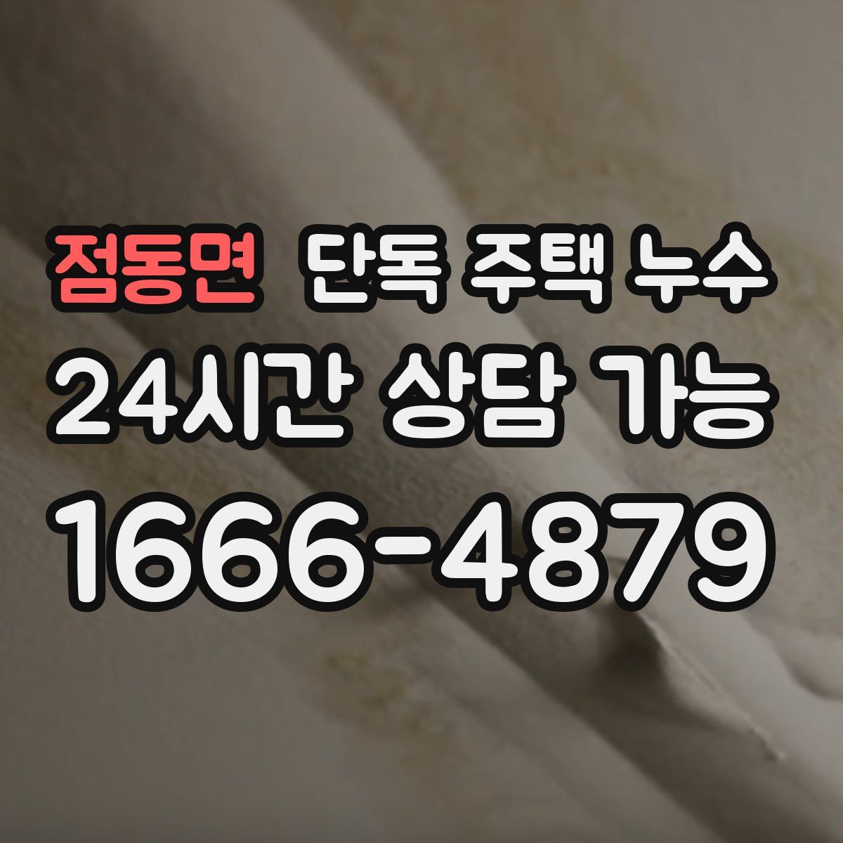 점동면 단독 주택 누수