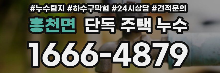 흥천면 단독 주택 누수