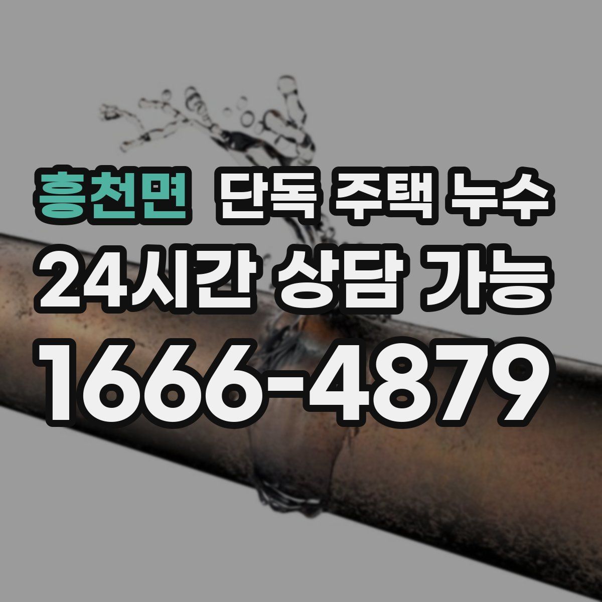 흥천면 단독 주택 누수