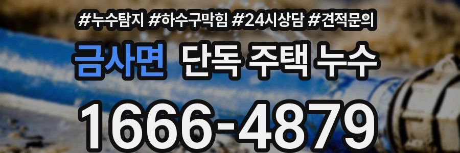 금사면 단독 주택 누수