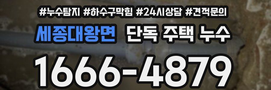 세종대왕면 단독 주택 누수