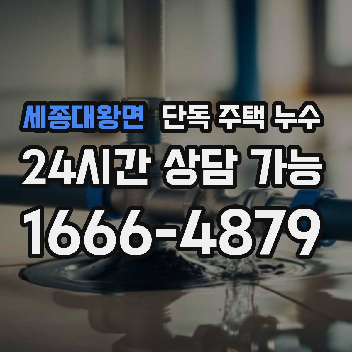 세종대왕면 단독 주택 누수