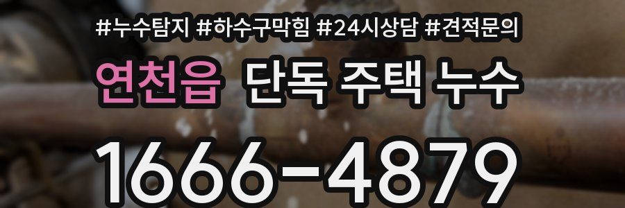 연천읍 단독 주택 누수