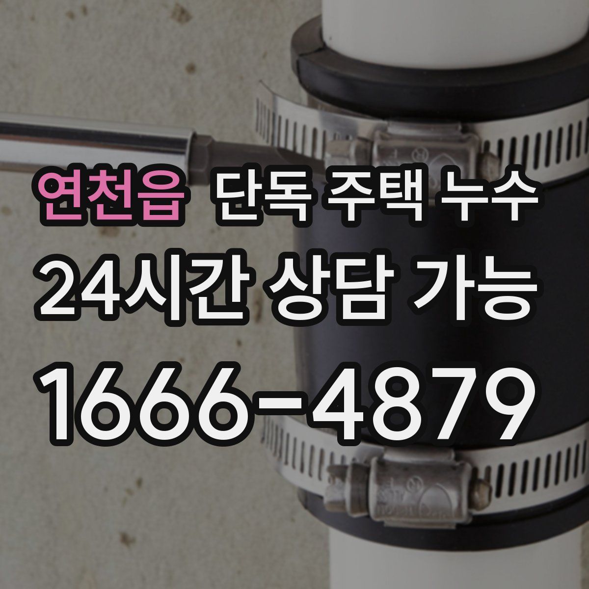 연천읍 단독 주택 누수