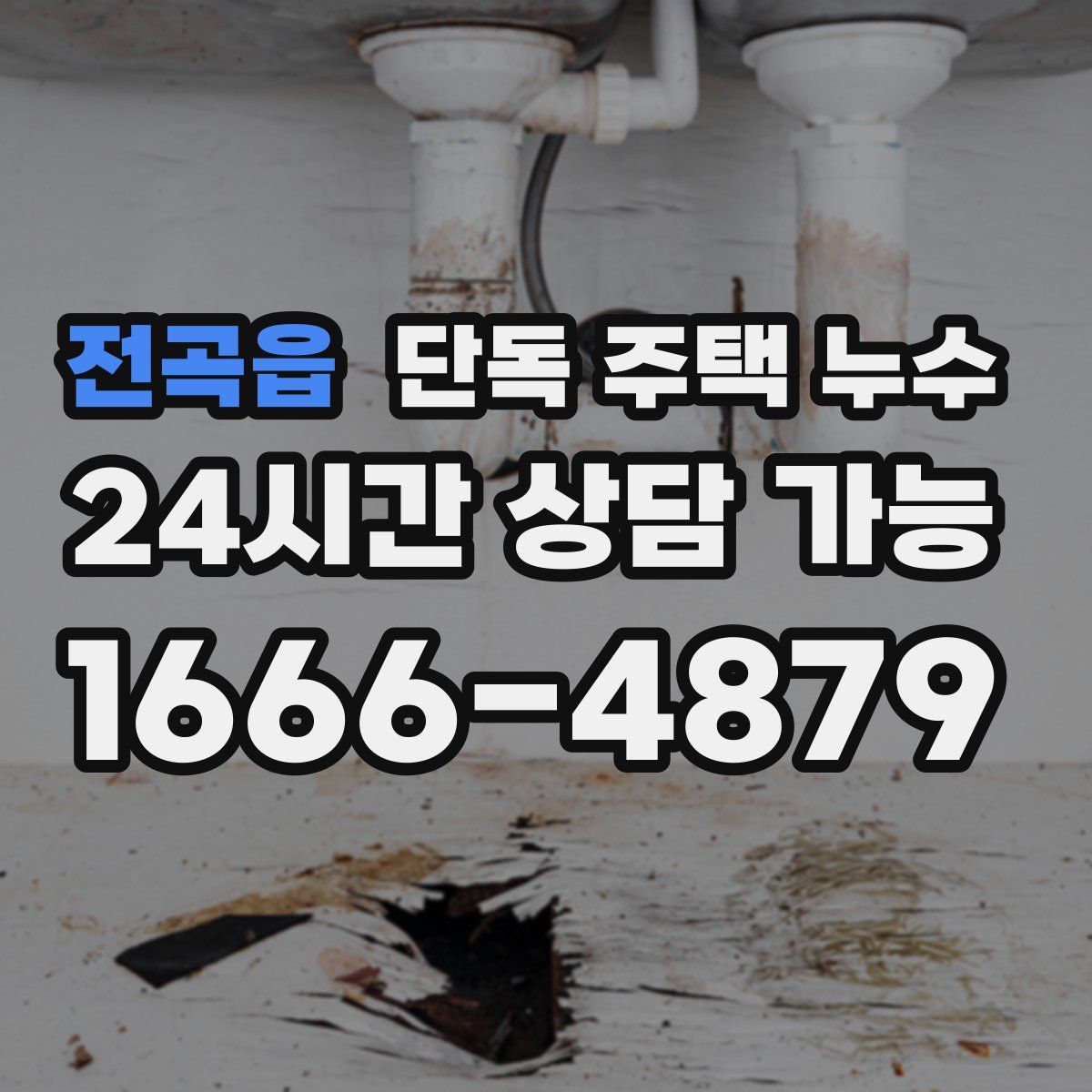 전곡읍 단독 주택 누수