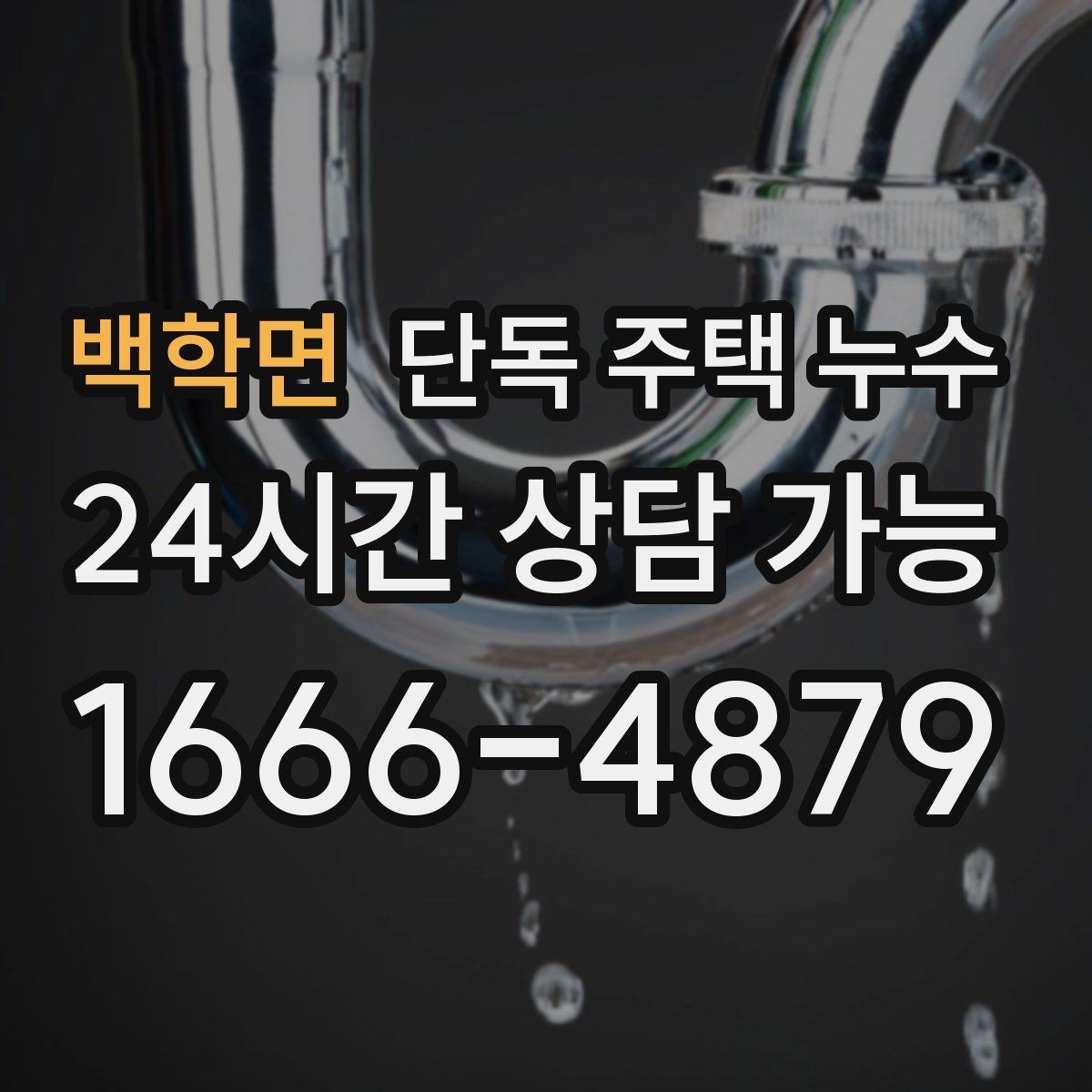백학면 단독 주택 누수 장판 아래 물기가 빠지지 않을 때
