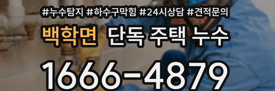 백학면 단독 주택 누수