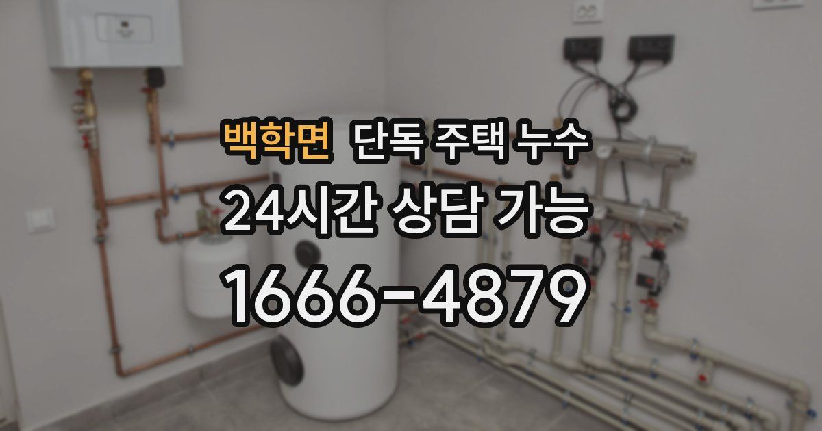 백학면 단독 주택 누수