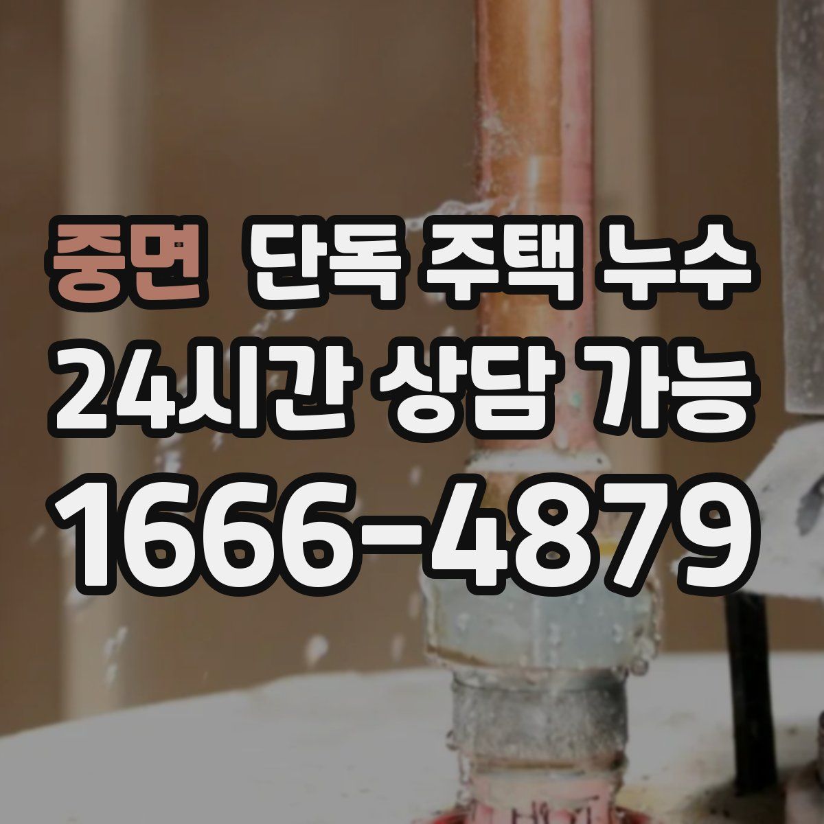 중면 단독 주택 누수