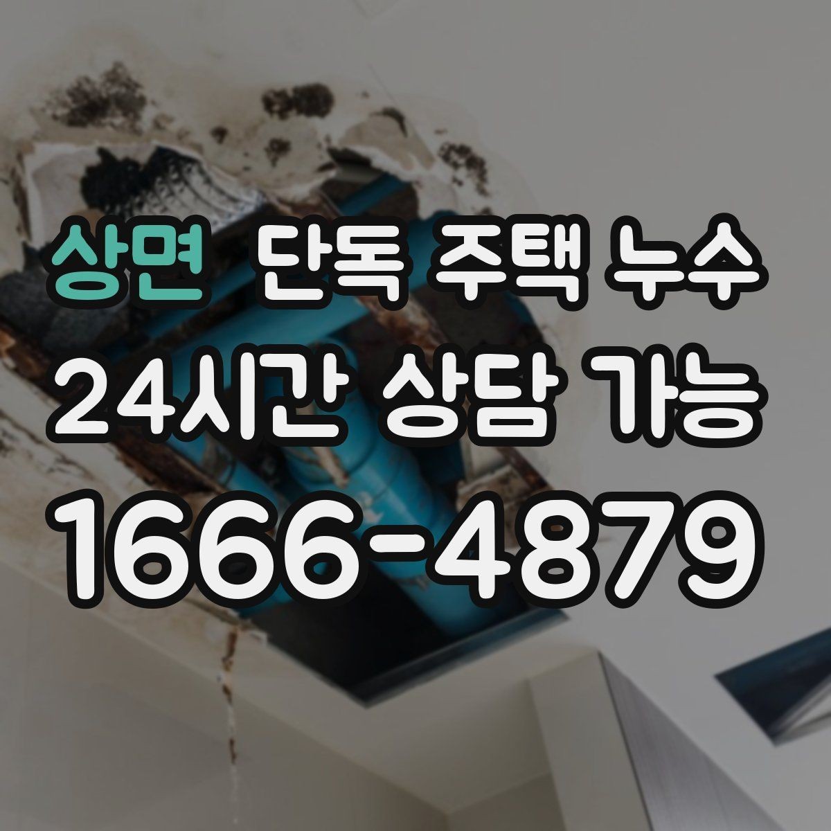 상면 단독 주택 누수 벽 안쪽 습기 잡는 방법은 무엇일까