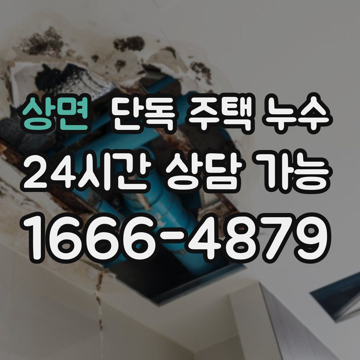 상면 단독 주택 누수