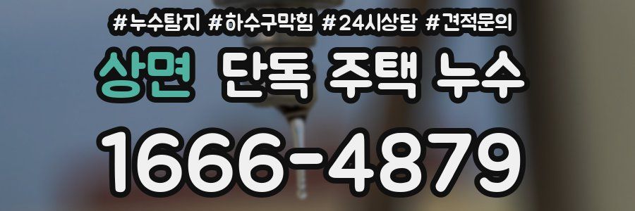 상면 단독 주택 누수