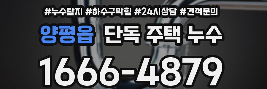 양평읍 단독 주택 누수