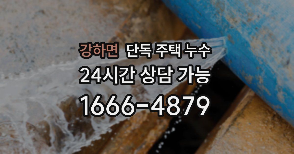 강하면 단독 주택 누수