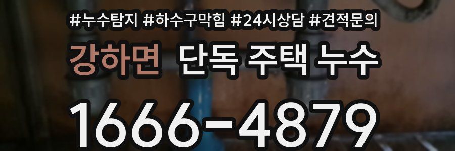 강하면 단독 주택 누수