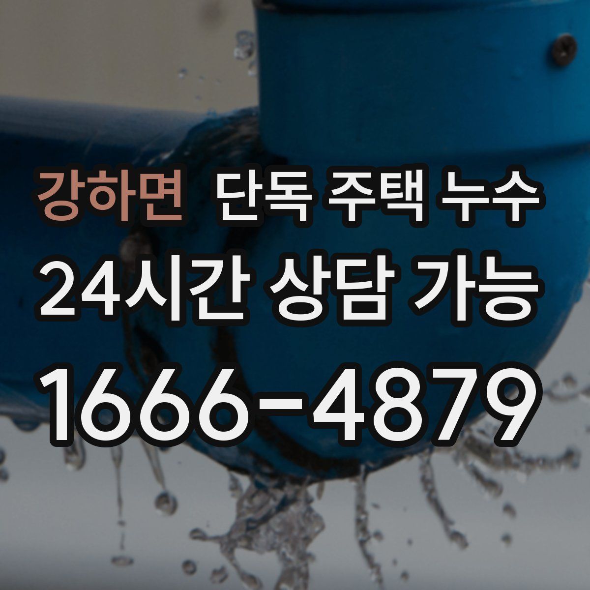 강하면 단독 주택 누수