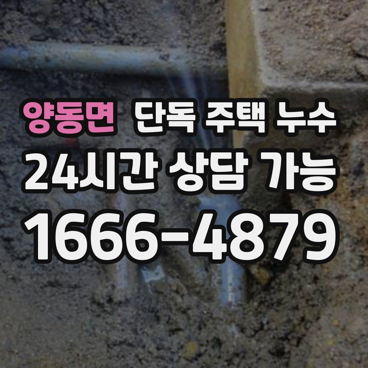 양동면 단독 주택 누수 우수관 주변에서 물자국이 생길 때