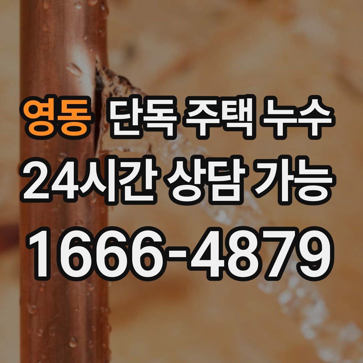 영동 단독 주택 누수 비바람 방향에 따라 새는 집의 특징