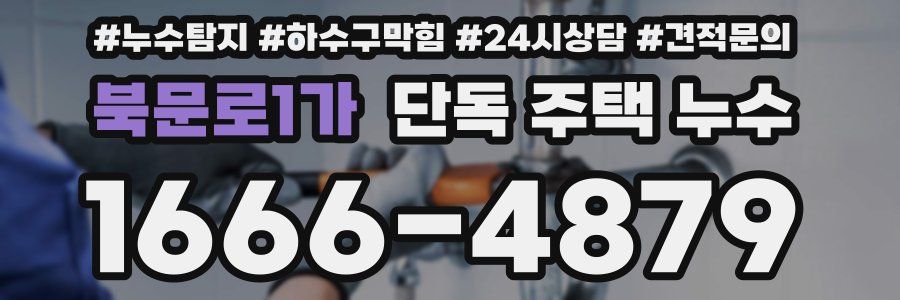 북문로1가 단독 주택 누수