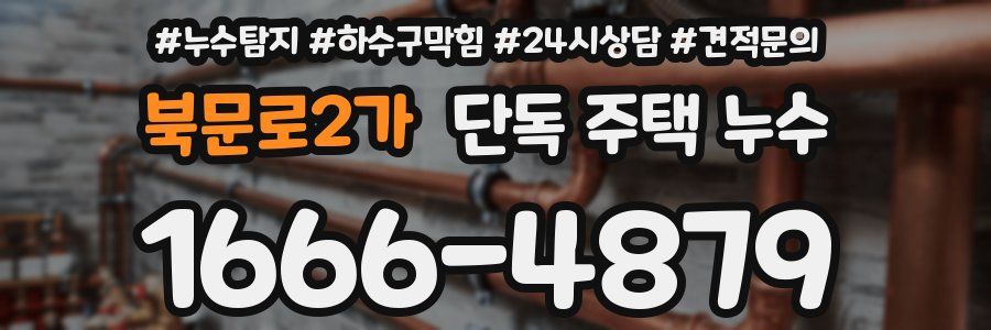 북문로2가 단독 주택 누수
