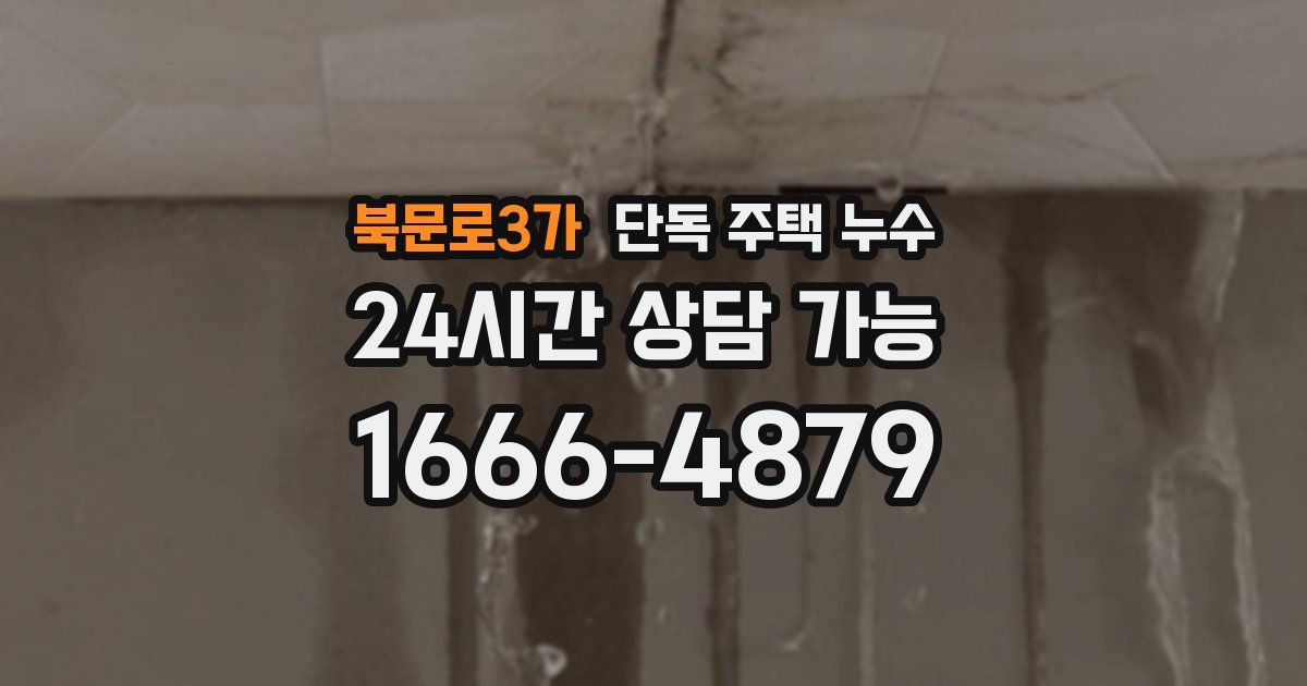 북문로3가 단독 주택 누수
