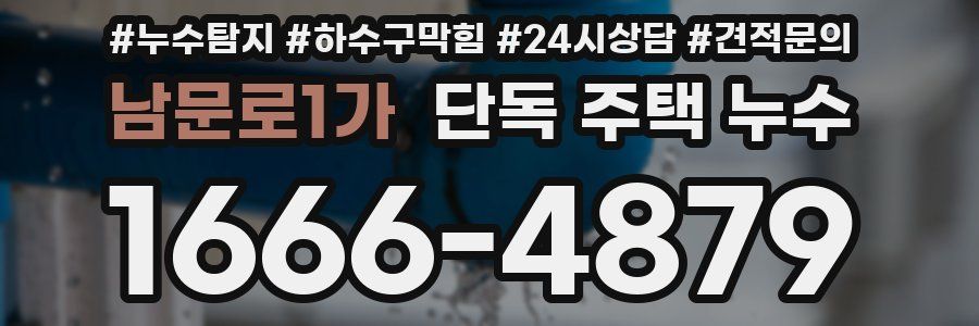 남문로1가 단독 주택 누수