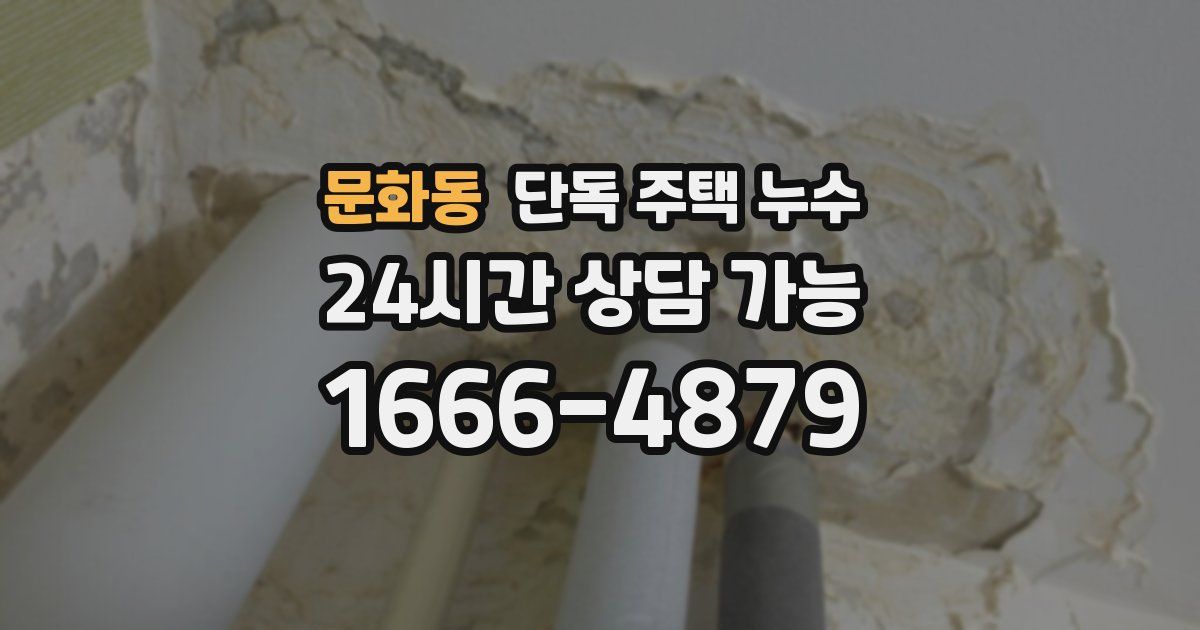 문화동 단독 주택 누수