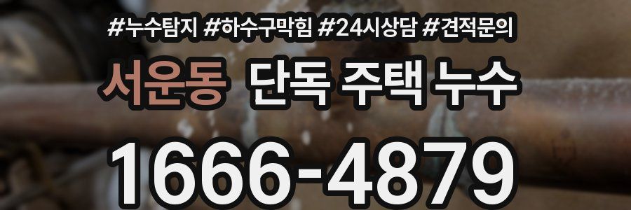 서운동 단독 주택 누수